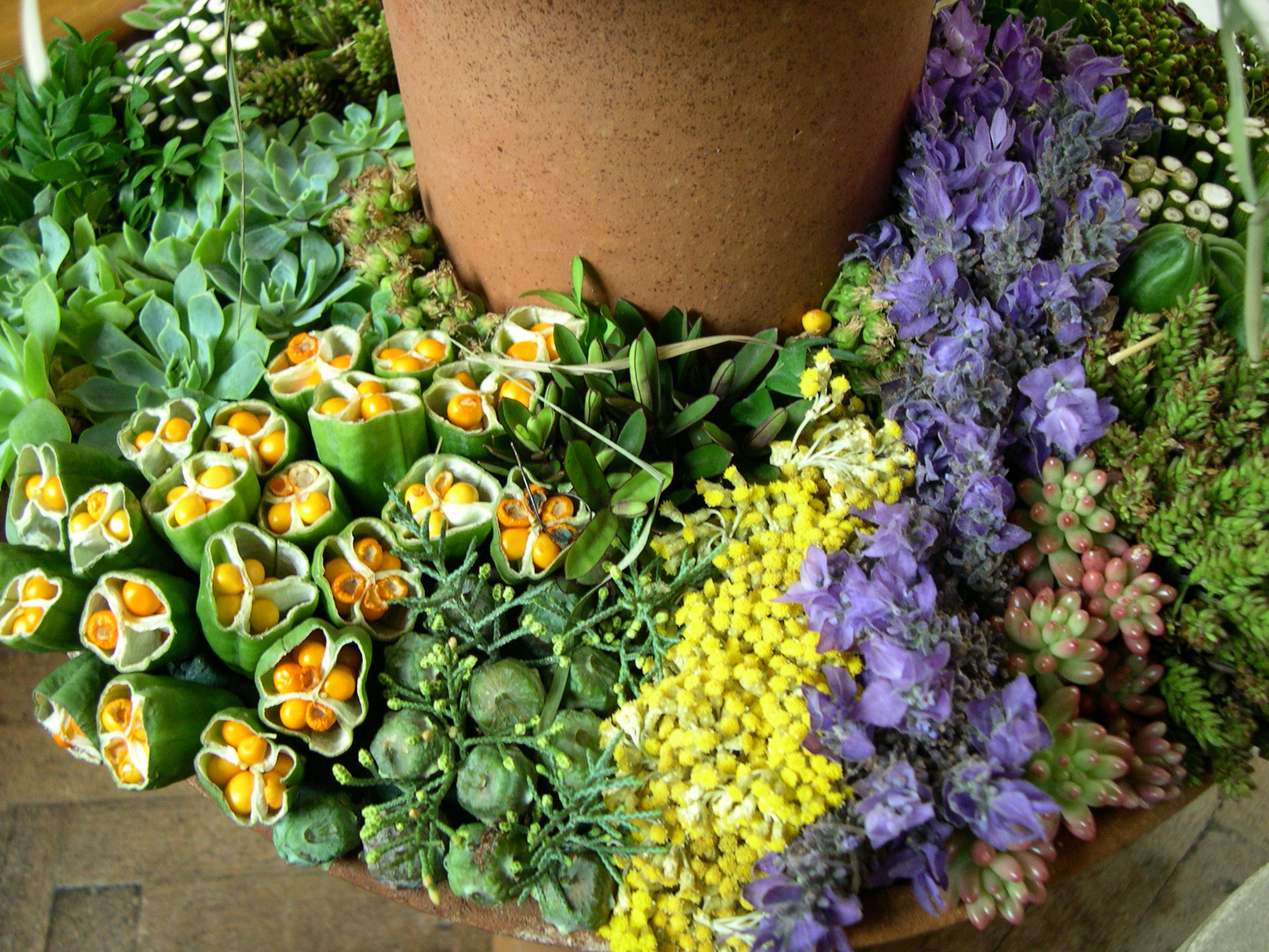 Saint Peter’s at the Festival of Flowers